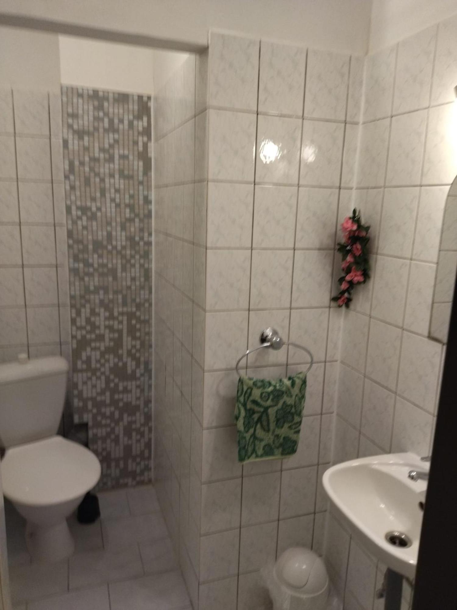 Apartman Kral 阿尔布勒茨缇策维基泽尔斯基弛霍拉次 外观 照片