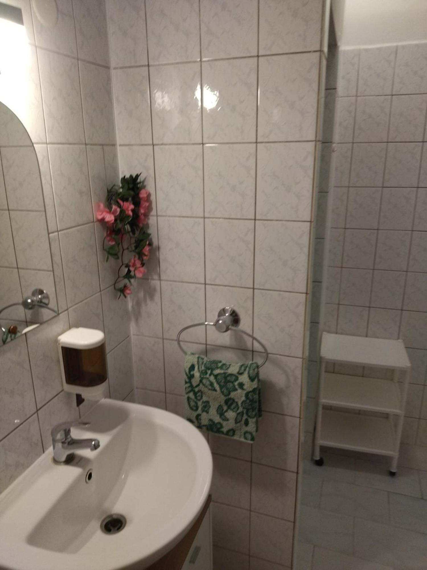 Apartman Kral 阿尔布勒茨缇策维基泽尔斯基弛霍拉次 外观 照片